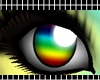 {C} Rainboww eyes [F]