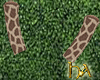 [HA] Giraffe Horns