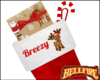 Breezy Xmas Stocking