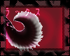 QUEO. tail