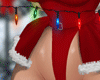 Santa Skirt
