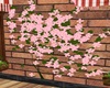 Wall Ivy Pink