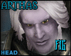 Wow Real Lich King Head*