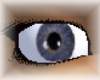 Grey-Blue Eye's