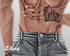 z. Grey Jeans