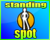 Ⓜ Standing spot