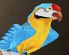 NK Cool Parrot {  M