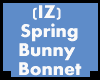 (IZ) Spring Bunny Bonnet