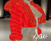 Red Sweater/Jacket