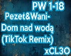 "Dom nad wodą"RMX