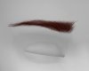 Eyebrows soldiers |ginge