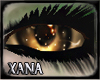 *X* Maia eyes [f]