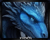 🌻 DRAGON PICTURE