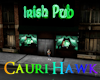 Furnished Irish Pub 24