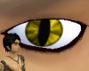 [kflh] Tamed Cougar Eyes