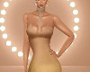Nude Transparency Gown