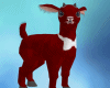 ß Red Baby Goat