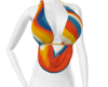 Halter Top