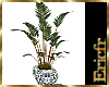 [Efr] Interior Plant