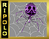 Ani  Death Spider & Web