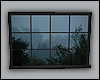 Cloudy Window (Add-on)