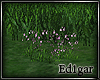 (ED1)Flowers-4