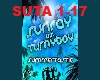 Sunray vs. Turnyboy