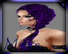 SM~Purple Sibyl