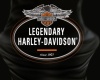 HarleyDavidson Tshirt