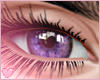 Luna - Lavender Eyes