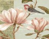 Bird in Magnolias