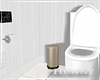 H. BC Automatic Toilet