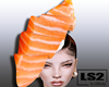 *LS SUSHI salmon