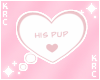 P. His Pup Headsign
