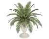 Garden Deco Palm