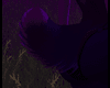 Ultra Violet tail V5