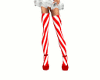 Candy Cane tights Shoes 