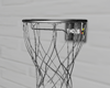 Basketball Nest ®