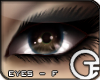 TP Eyes F - Chestnut