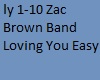Zac Brown Band Lovin Ezy