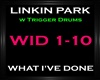 Linkin Park~What I've Do