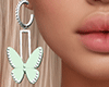 !B Hello Spring Ear. DRV