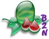 B2N-Glass Watermelon