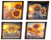 sunflwer sunset pictures