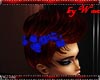 !W Blue Hair roses