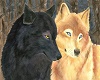wolf pic 8