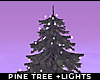 ! winter pine tree light