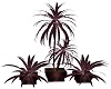MJ-Burgundy Planter