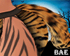 B| Tiger Tail Animated
