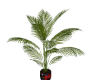 CH Plant Pot V1